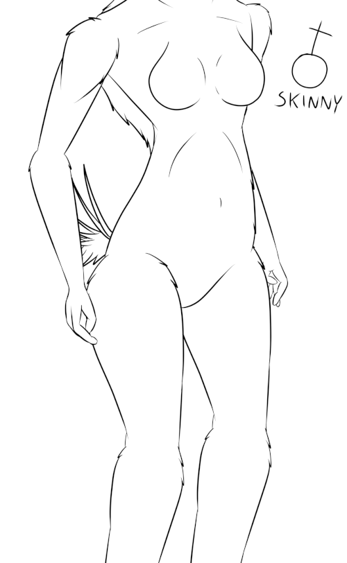 female body types